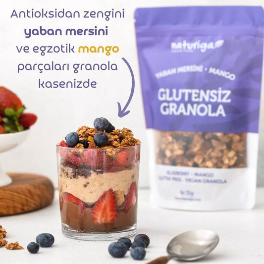 Glutensiz Yaban mersini & Mango Granola(250 gr)