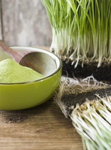 Organik Buğday Çimi Tozu (100gr)