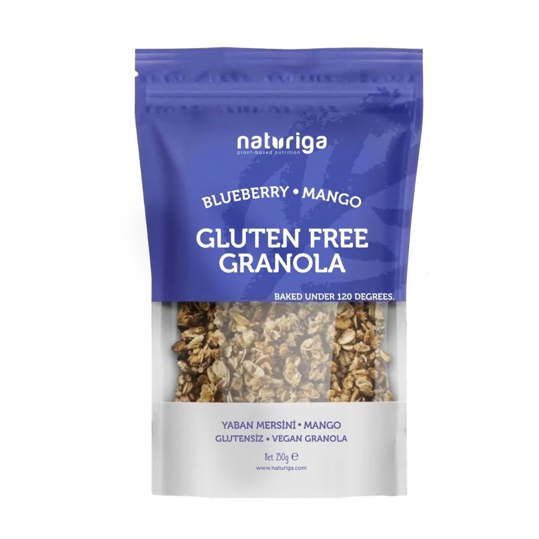 Glutensiz Yaban mersini & Mango Granola(250 gr)