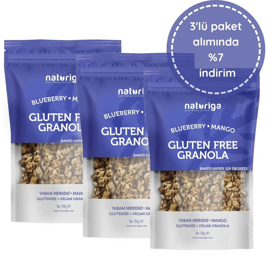 3'lü Glutensiz Yaban mersini & Mango Granola