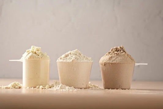 Günlük Protein İhtiyacınız Ne Kadar?