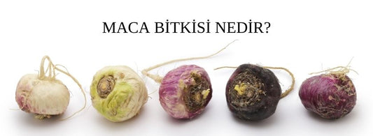 Maca Bitkisi Nedir?
