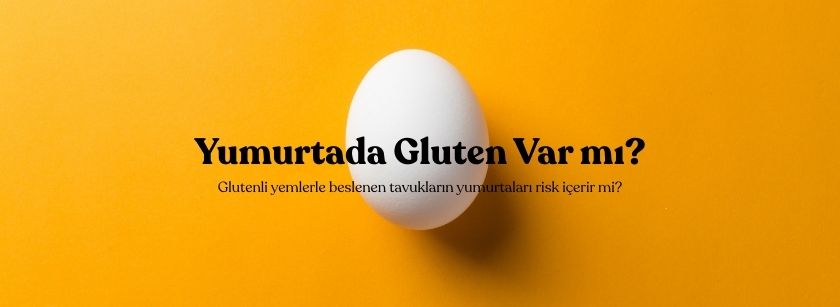Yumurtada Gluten Var mı?
