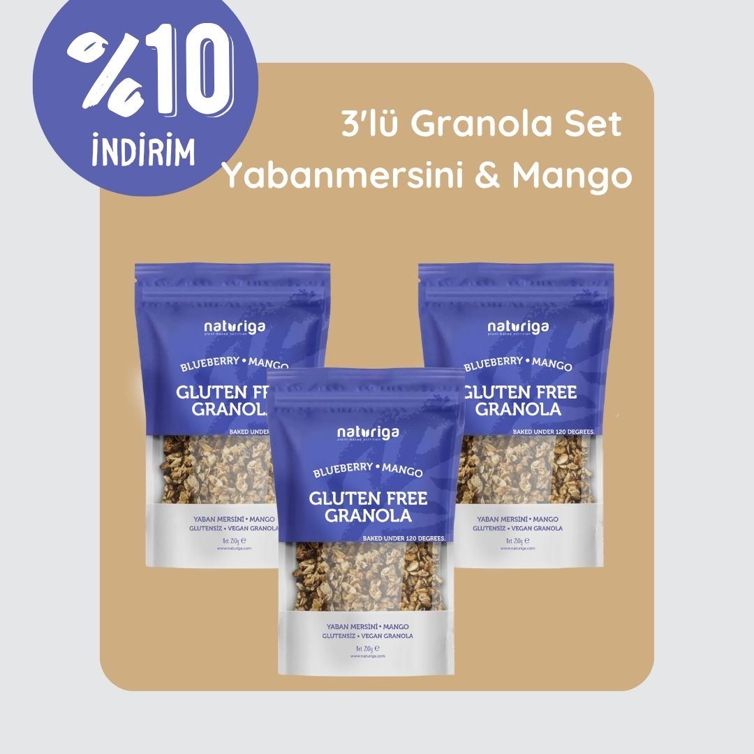 3'lü Glutensiz Yaban mersini & Mango Granola