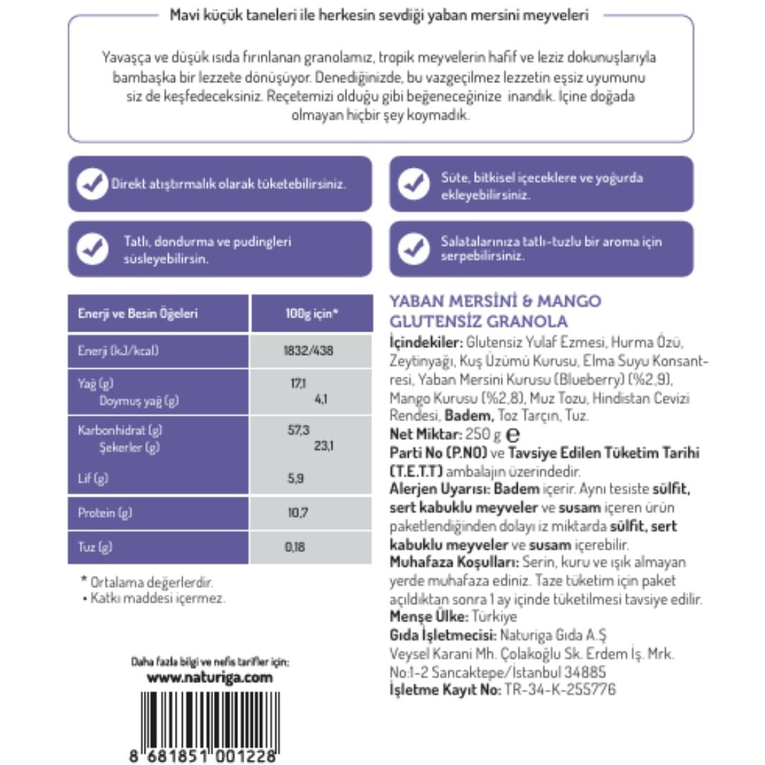 Glutensiz Yaban mersini & Mango Granola(250 gr)