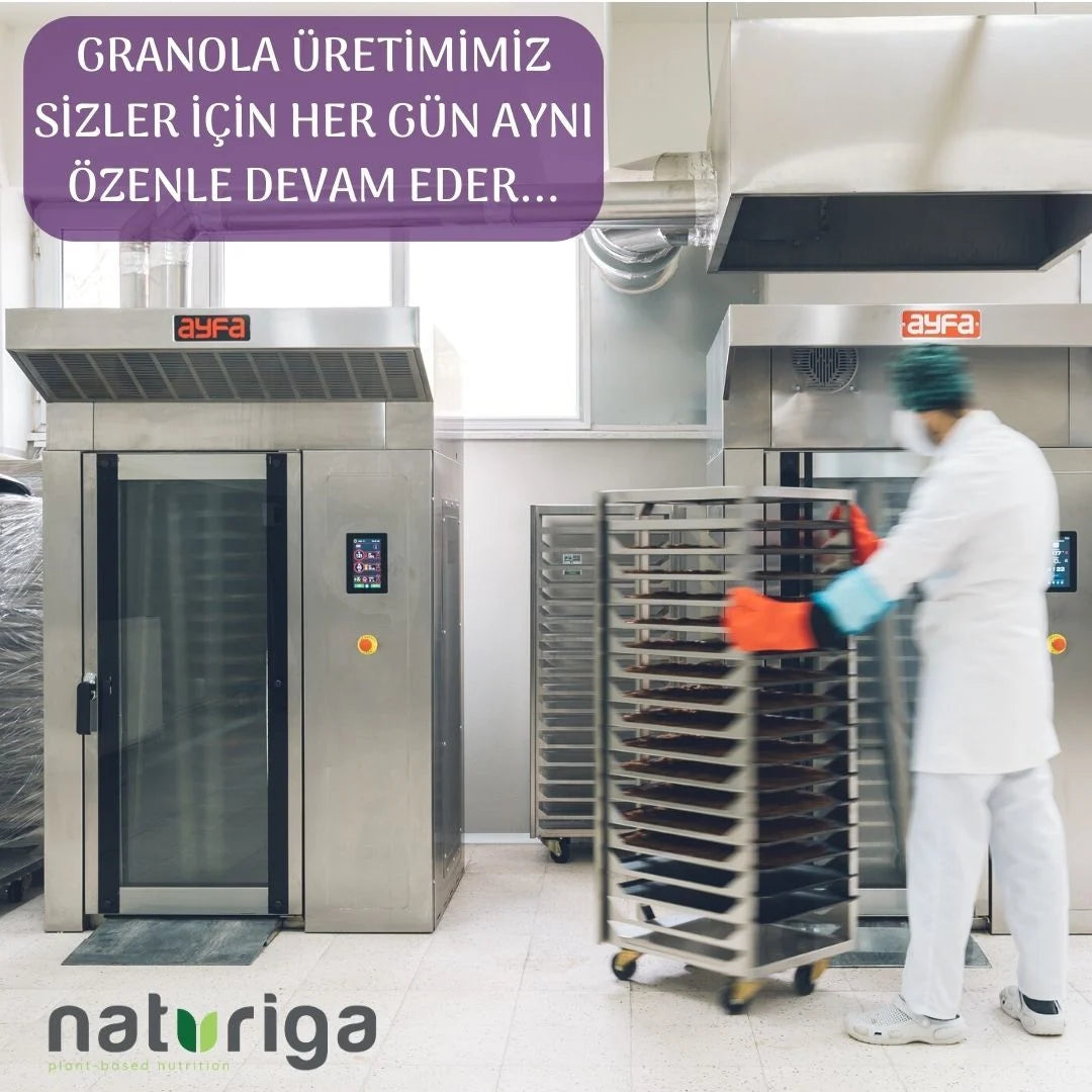 Glutensiz Yaban mersini & Mango Granola(250 gr)