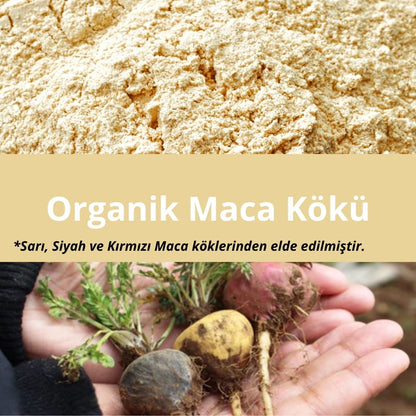 Organik Maca Kökü Tozu (100gr)
