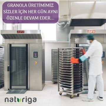 Glutensiz Yaban mersini & Mango Granola(250 gr)