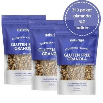 3'lü Glutensiz Yaban mersini & Mango Granola